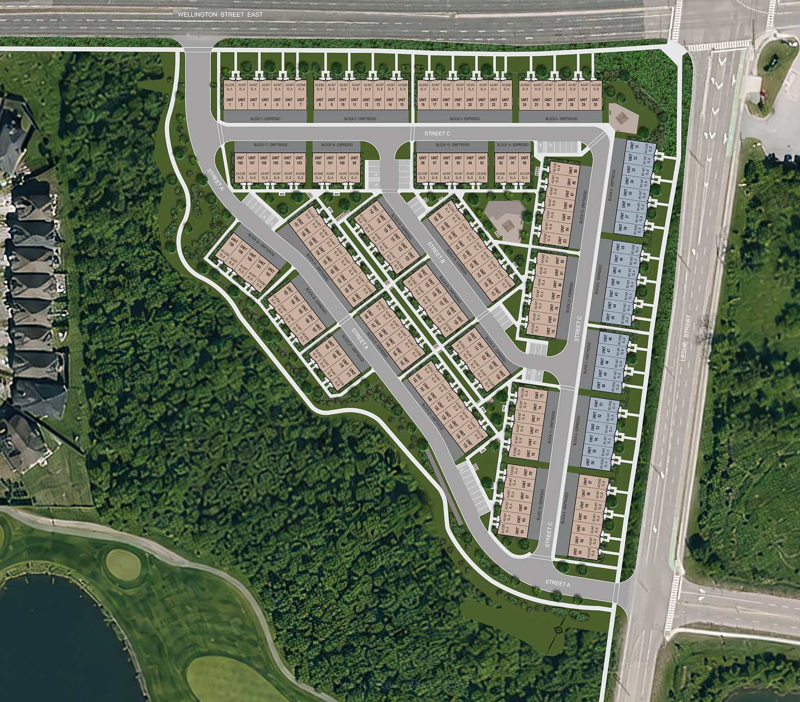 Montara site plan — 171 townhome units in 27 blocks between Wellington Street East and Leslie Street, M1 and A3 models colour-coded, protected woodland to the west and south